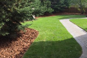 stone walkway